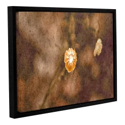 ArtWall Center Of Attention Framed Wall Art