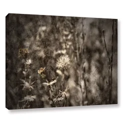 ArtWall Dormant Canvas Wall Art