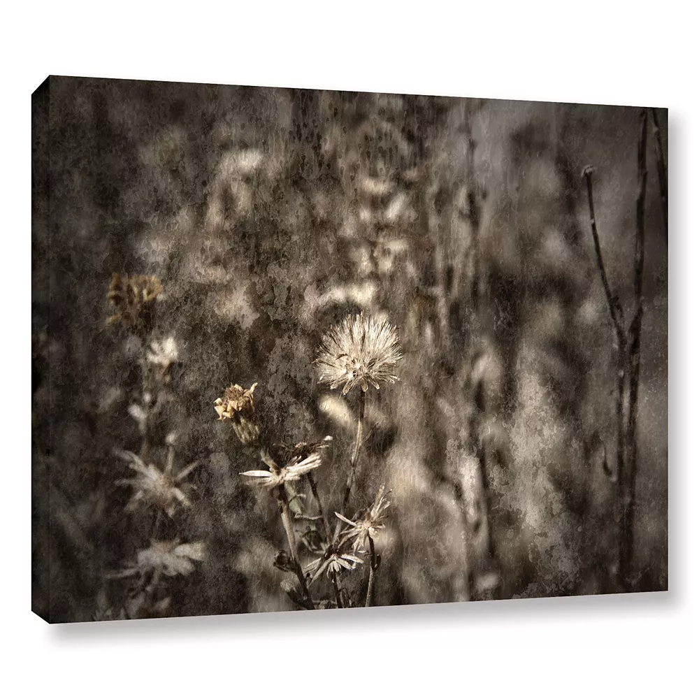ArtWall Dormant Canvas Wall Art 1 ArtWall Dormant Canvas Wall Art