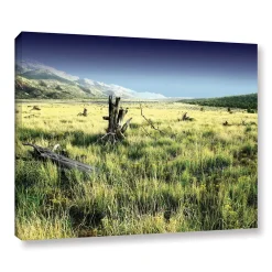 ArtWall Fall Creeps Canvas Wall Art