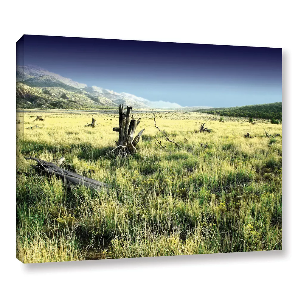 ArtWall Fall Creeps Canvas Wall Art 1 ArtWall Fall Creeps Canvas Wall Art
