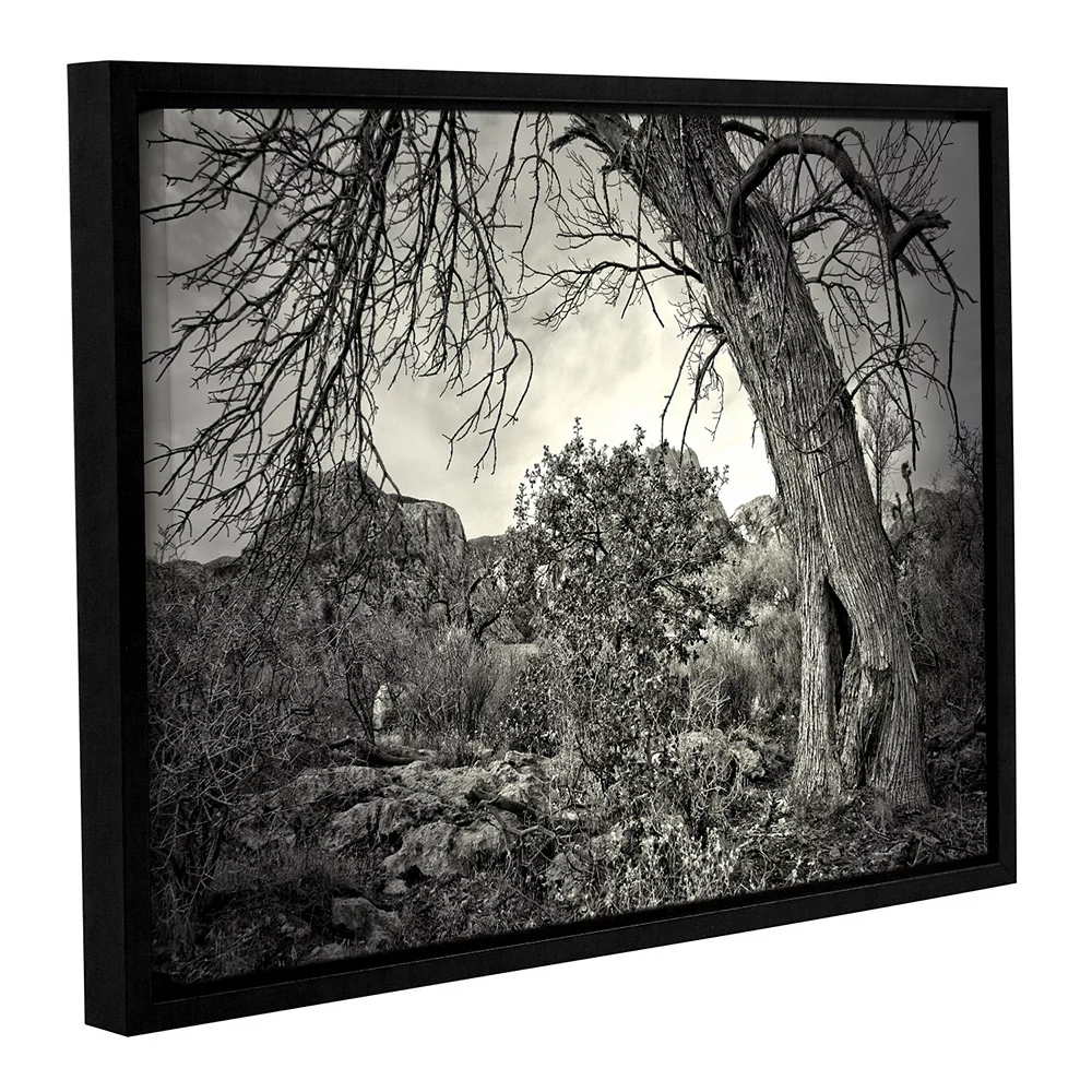 ArtWall Listen To Whispers Framed Wall Art 1 ArtWall Listen To Whispers Framed Wall Art