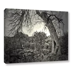 ArtWall Listen To Whispers Canvas Wall Art