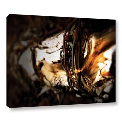 ArtWall Mend Rope & Tree Canvas Wall Art