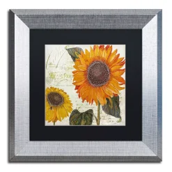 Trademark Fine Art Sundresses II Silver Finish Framed Wall Art