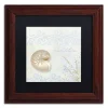 Trademark Fine Art She Sells Seashells I Matted Framed Wall Art