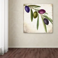 Trademark Fine Art Olive Branch IV Canvas Wall Art