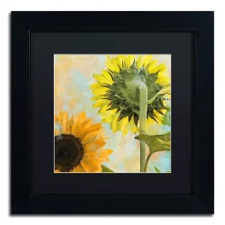 Trademark Fine Art Soleil II Framed Wall Art