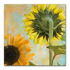 Trademark Fine Art Soleil II Canvas Wall Art -Kohl's Sales 2973562 ALT2