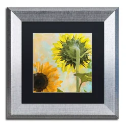 Trademark Fine Art Soleil II Silver Finish Framed Wall Art