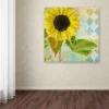 Trademark Fine Art Soleil III Canvas Wall Art