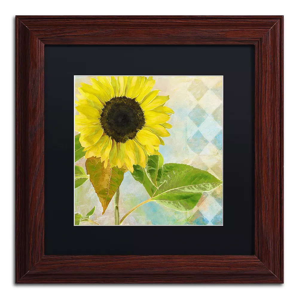 Trademark Fine Art Soleil III Framed Wall Art 1 Trademark Fine Art Soleil III Framed Wall Art