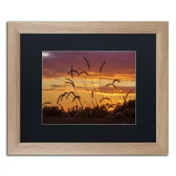 Trademark Fine Art Weeds Distressed Framed Wall Art