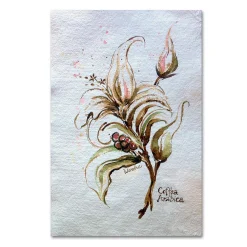 Trademark Fine Art "Coffea Arabica" Canvas Wall Art -Kohl's Sales 2988926 ALT2