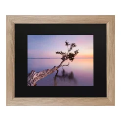 Trademark Fine Art Water Tree Xv Framed Art