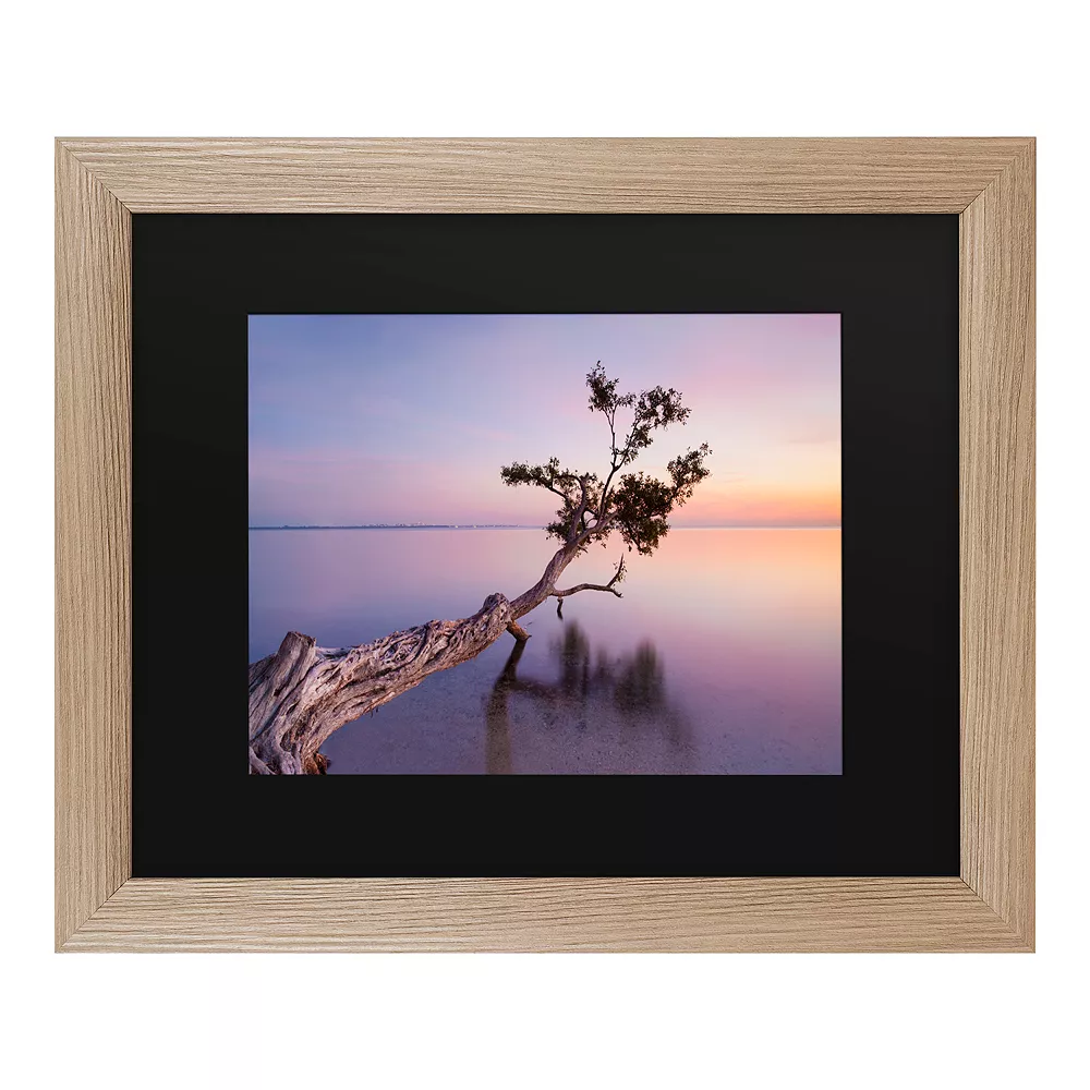 Trademark Fine Art Water Tree Xv Framed Art 1 Trademark Fine Art Water Tree Xv Framed Art