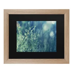 Trademark Fine Art Blues In The Morning Framed Art