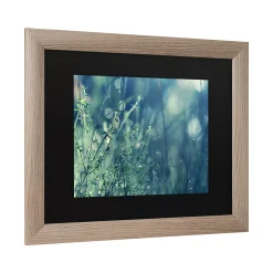 Trademark Fine Art Blues In The Morning Framed Art -Kohl's Sales 3661405 ALT4