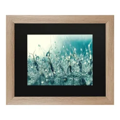 Trademark Fine Art Under The Sea Framed Art