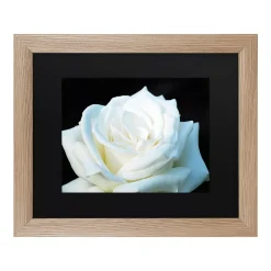 Trademark Fine Art White Rose II Framed Wall Art