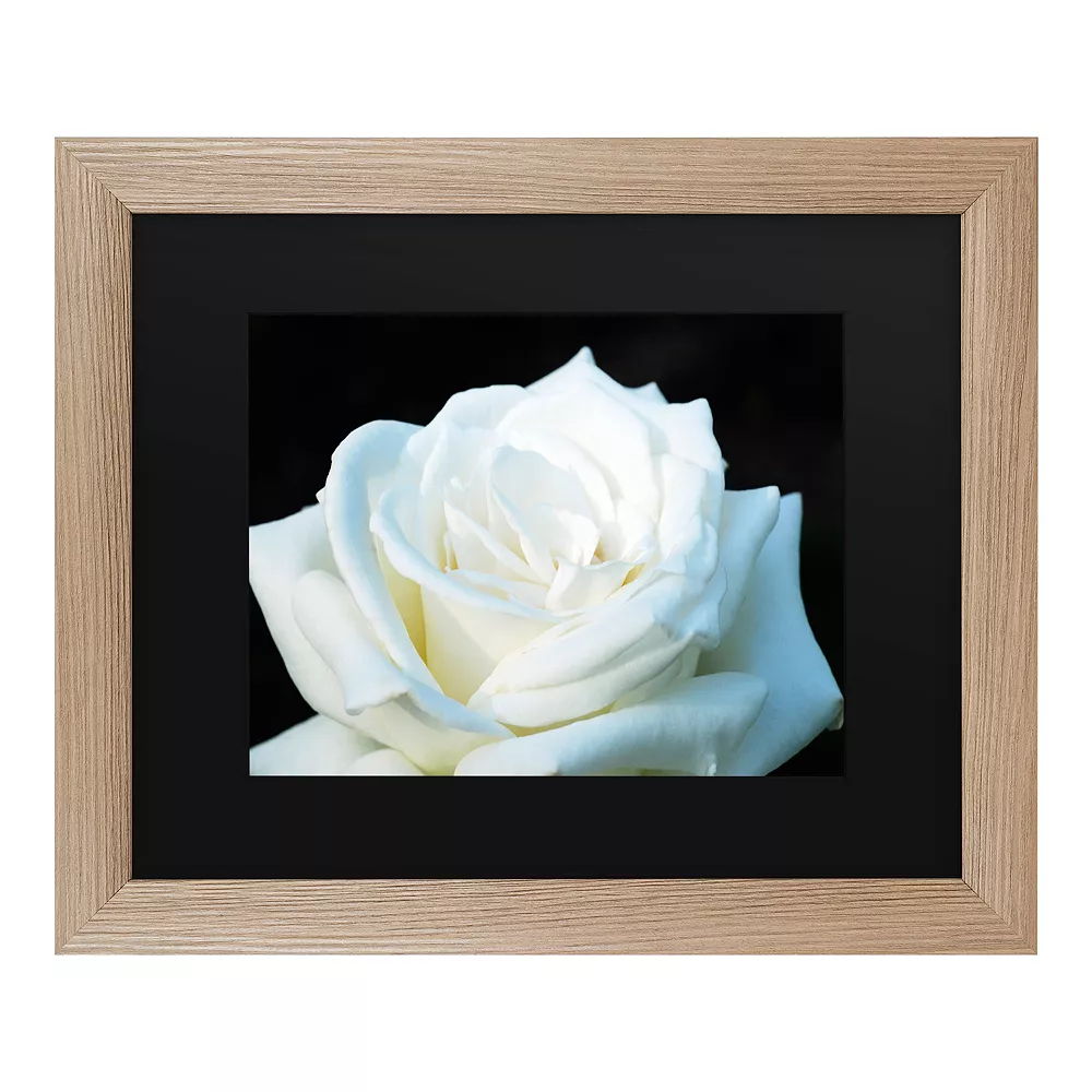 Trademark Fine Art White Rose II Framed Wall Art 1 Trademark Fine Art White Rose II Framed Wall Art