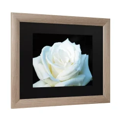 Trademark Fine Art White Rose II Framed Wall Art 5 Trademark Fine Art White Rose II Framed Wall Art -Kohl's Sales 3661488 ALT4
