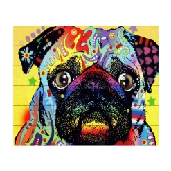 Trademark Fine Art 'Pug' Wood Slat Art