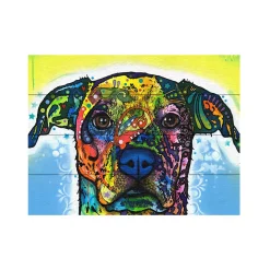 Trademark Fine Art 'Fiesta' Wood Slat Art