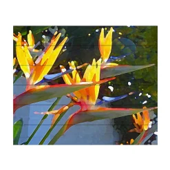 Trademark Fine Art 'Bird Of Paradise Backlit By Sun' Wood Slat Art