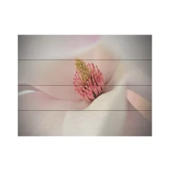 Trademark Fine Art Christine Sainte-Laudy 'Heart Of Spring' Wood Slat Art