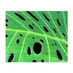 Trademark Fine Art 'Tropical Leaf' Wood Slat Art