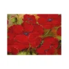 Trademark Fine Art Rio 'Poppies 2' Wood Slat Art