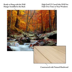 Trademark Fine Art CATeyes 'Ultimate Truth' Wood Slat Art -Kohl's Sales 3989666 ALT4