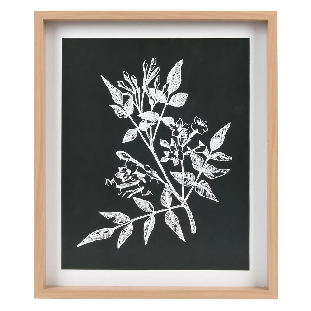 Sonoma Goods For Life® Printed Wood Frame Reverse Botanical Wall Decor 1 Sonoma Goods For Life® Printed Wood Frame Reverse Botanical Wall Decor
