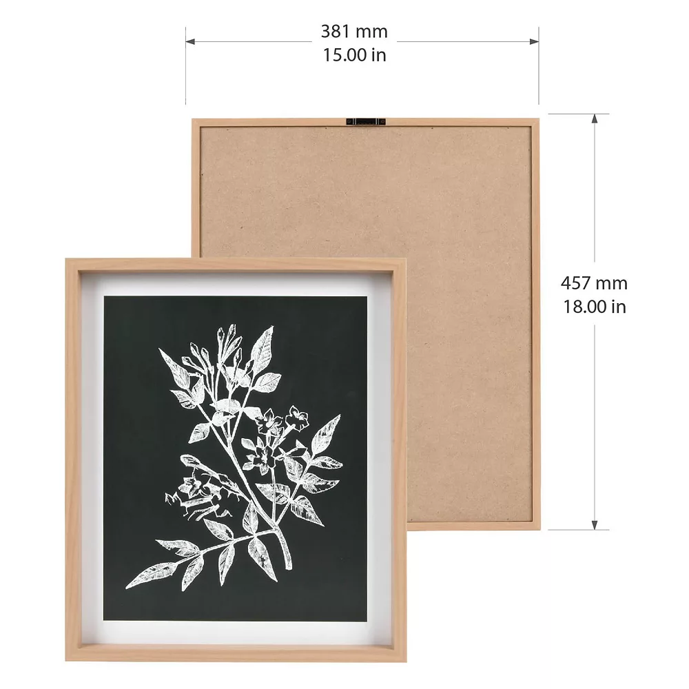 Sonoma Goods For Life® Printed Wood Frame Reverse Botanical Wall Decor 4 Sonoma Goods For Life® Printed Wood Frame Reverse Botanical Wall Decor - Image 4