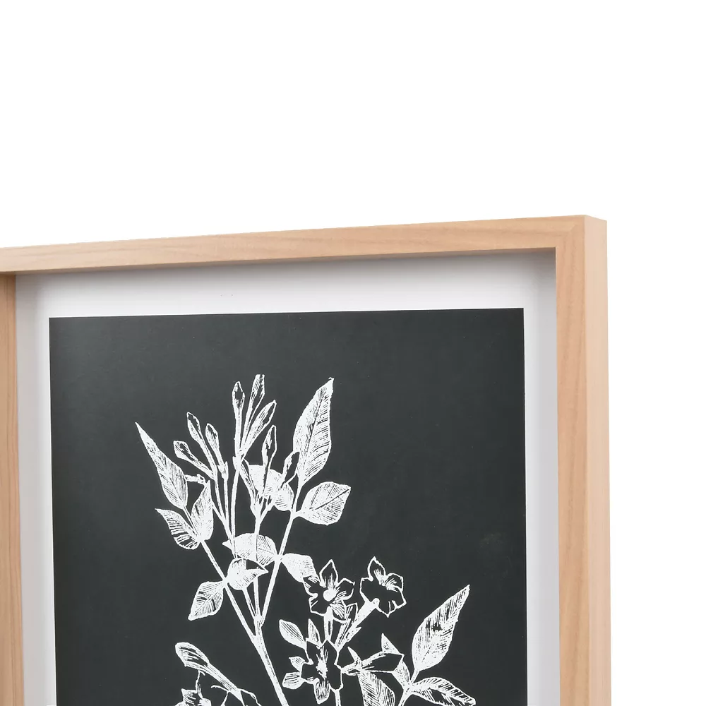 Sonoma Goods For Life® Printed Wood Frame Reverse Botanical Wall Decor 5 Sonoma Goods For Life® Printed Wood Frame Reverse Botanical Wall Decor - Image 5