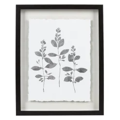 Sonoma Goods For LifeĀ® Botanical Shadowbox Framed Wall Art