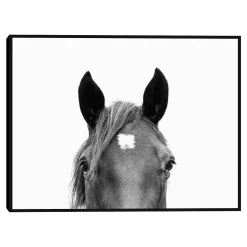 Master Piece Peeking Horse Wall Art By Sisi & Seb