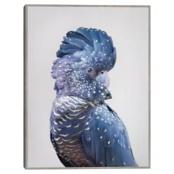 Master Piece Black Cockatoo Wall Art By Sisi & Seb