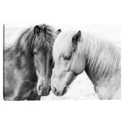 Master Piece Horse Love Wall Art By Sisi & Seb