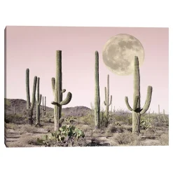 Master Piece Blush Cactus Desert Wall Art By Sisi & Seb