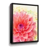 ArtWall Dahlia Splatter Framed Wall Art