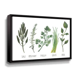 ArtWall Watercolor Herbs Framed Wall Art
