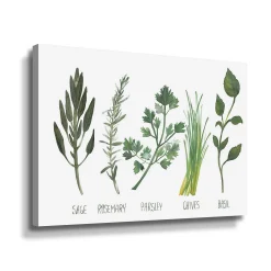 ArtWall Watercolor Herbs Canvas Wall Art