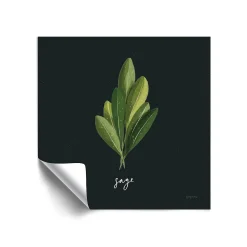 ArtWall Herbs II Removable Wall Art