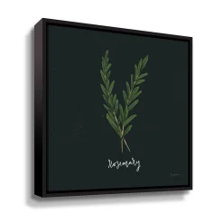 ArtWall Herbs III Rosemary Framed Wall Art