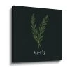 ArtWall Herbs III Rosemary Canvas Wall Art