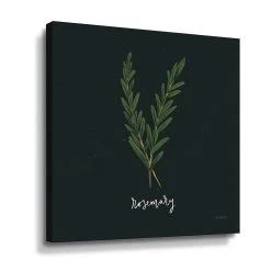 ArtWall Herbs III Rosemary Canvas Wall Art