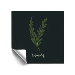 ArtWall Herbs III Rosemary Removable Wall Art
