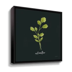 ArtWall Herbs IV Cilantro Framed Wall Art